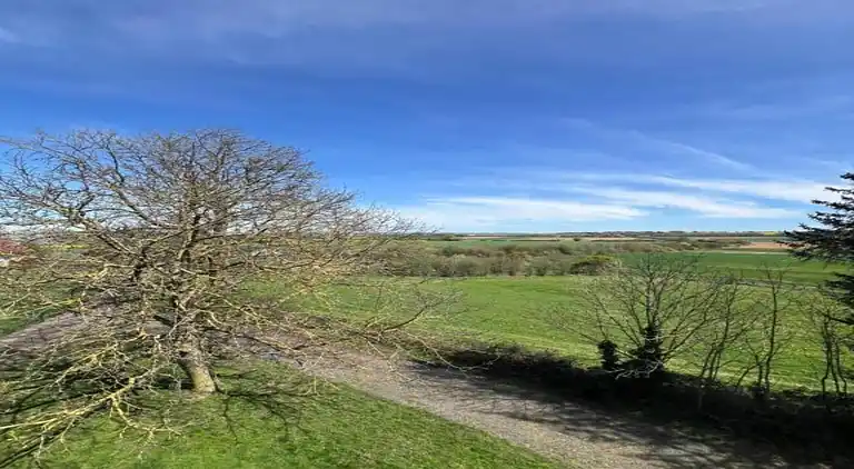 Cottage in Haselbourg