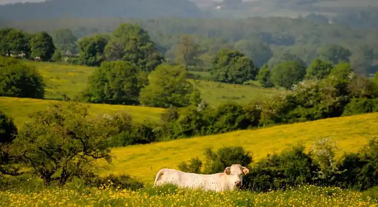 Holiday home in Michaugues