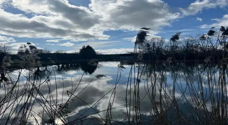 Holiday home in Maux