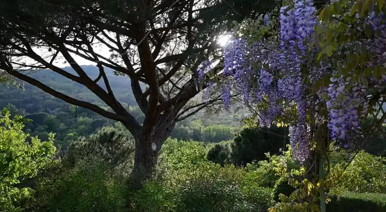 Apartment in Provence
