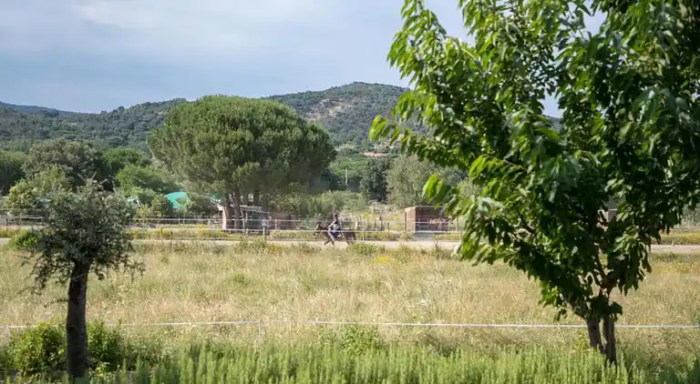 Apartment in Provence
