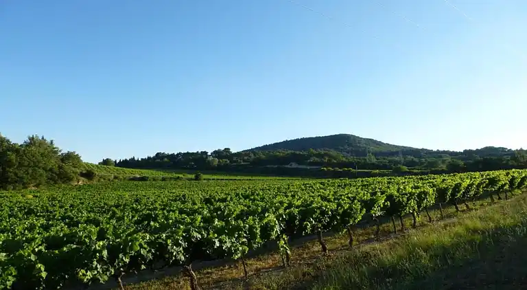 Holiday home in Le Thor