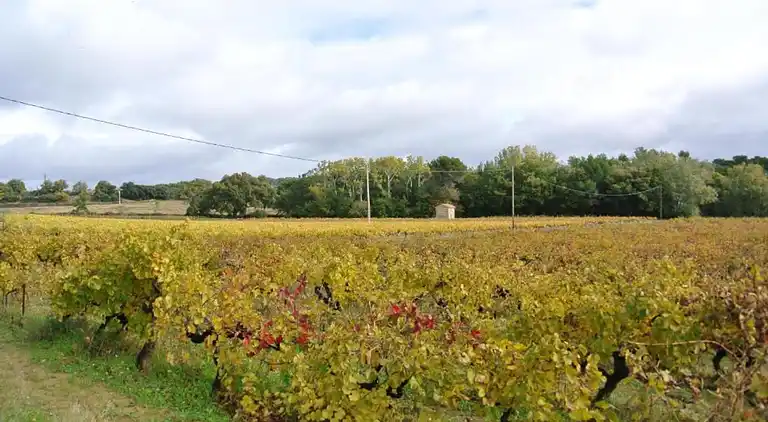 Holiday home in Le Thor