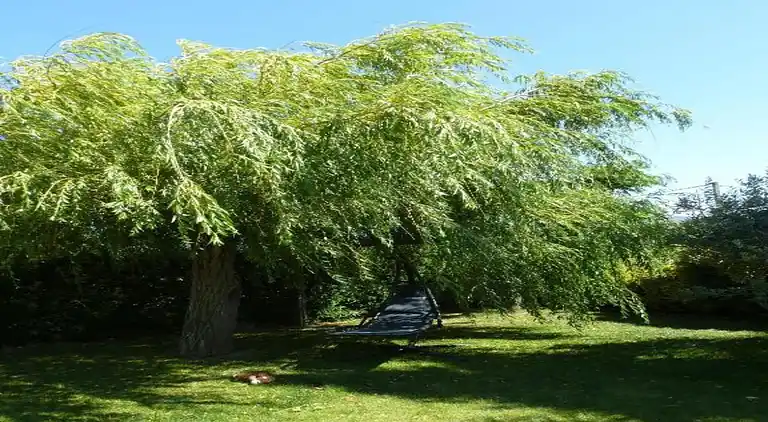 Holiday home in Le Thor