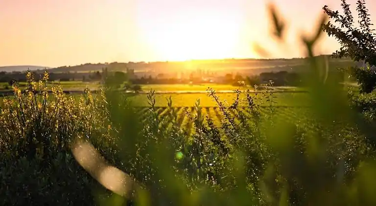 Holiday home in Le Thor