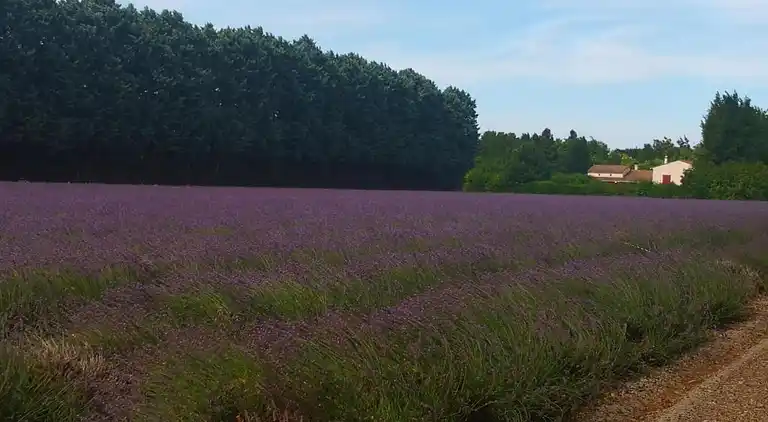 Holiday home in Le Thor