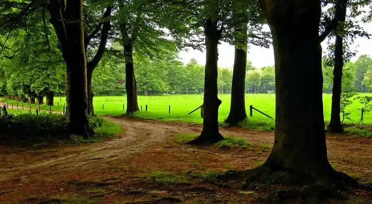 Holiday home in Langweer