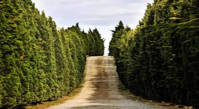 Holiday home in Langweer