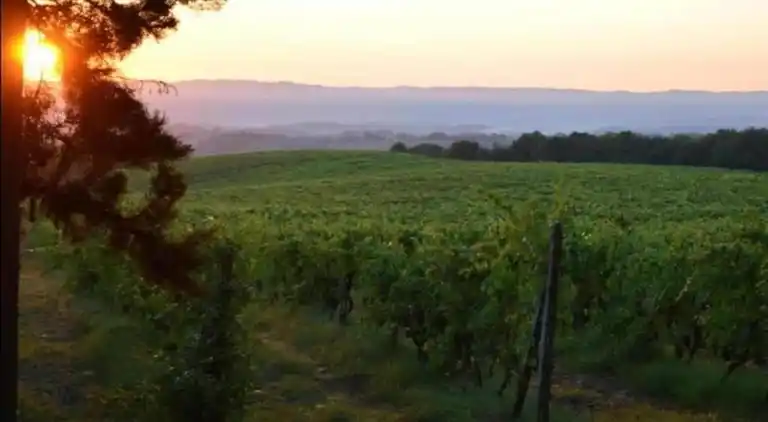 Holiday home in Langweer