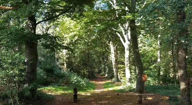 Holiday home in Oudemirdum