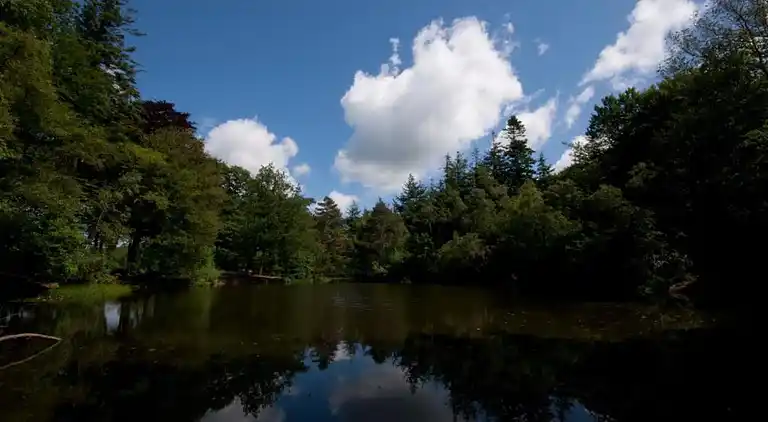 Holiday home in Oudemirdum