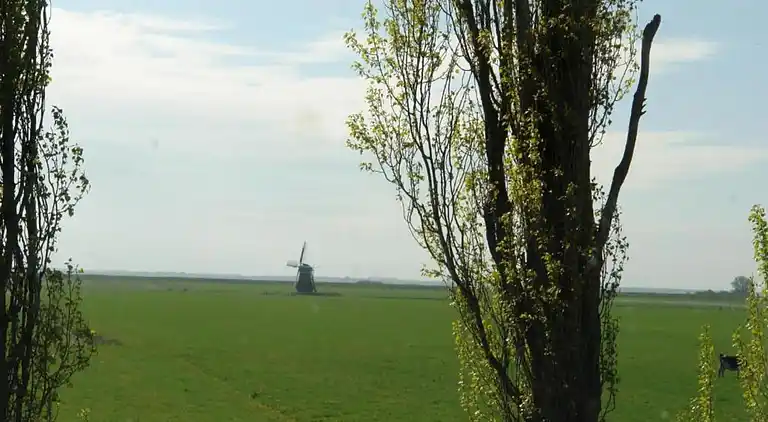 Holiday home in Oudemirdum