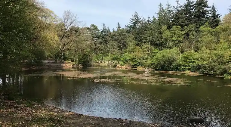 Holiday home in Oudemirdum