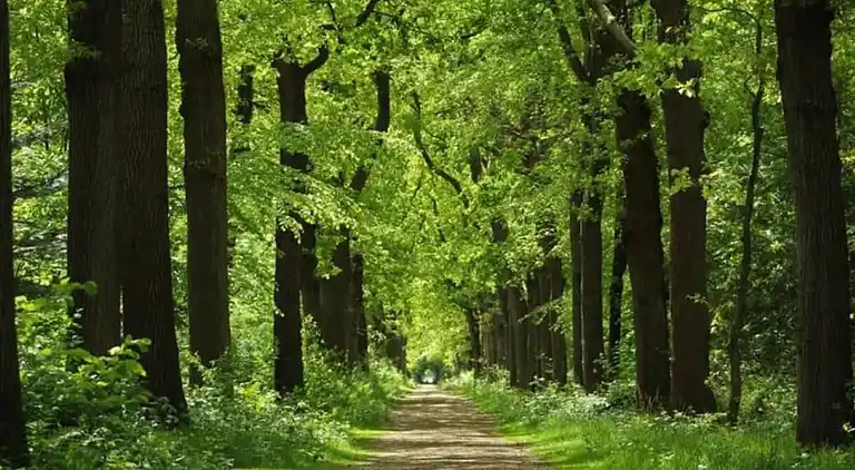 Holiday home in Balk