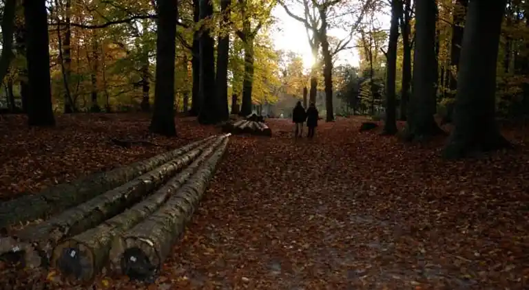 Holiday home in Oudemirdum