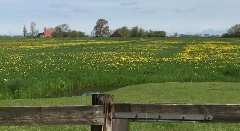 Semesterbostad i Easterlittens