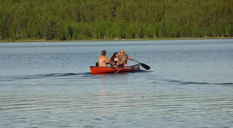 Holiday home in Letafors