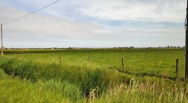 Bungalow i Bredene-aan-Zee