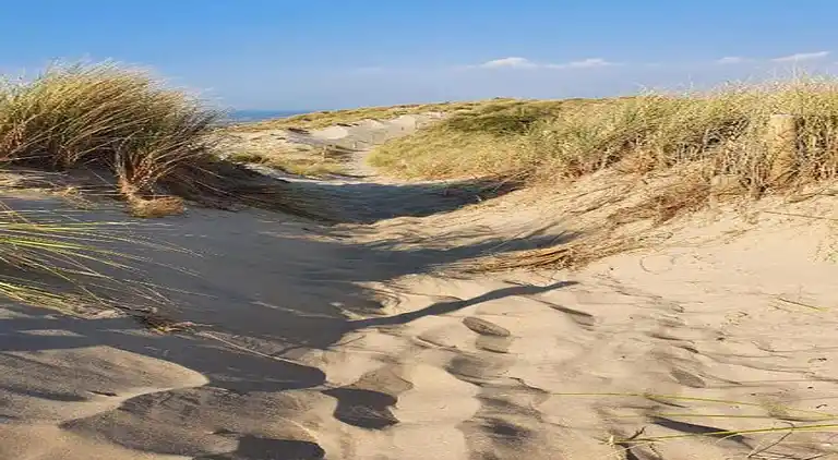Bungalow i Bredene-aan-Zee