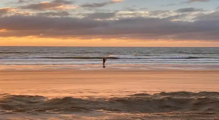 Bungalow i Bredene-aan-Zee