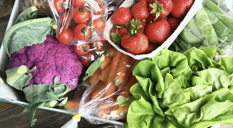 Schönes Ferienhaus mit Meerblick