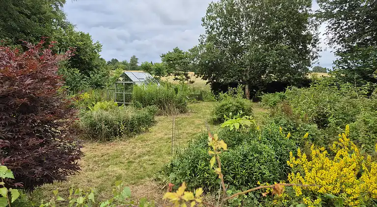 Hyggeligt sommerhus med udsigt til naturen.