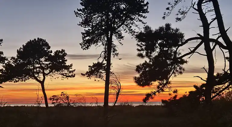 Hyggeligt feriehus kun 300 meter fra Høve Strand