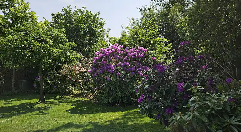 Hyggeligt feriehus kun 300 meter fra Høve Strand
