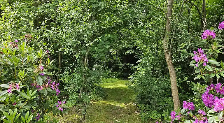 Hyggeligt feriehus kun 300 meter fra Høve Strand