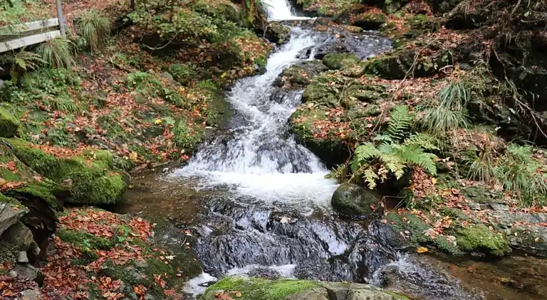 Holiday home in Todtmoos