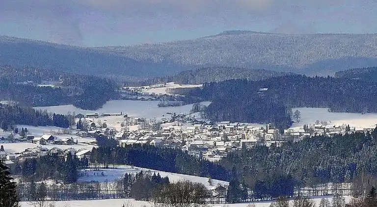 Apartment in Bavarian Forest