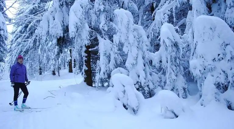 Apartment in Bavarian Forest