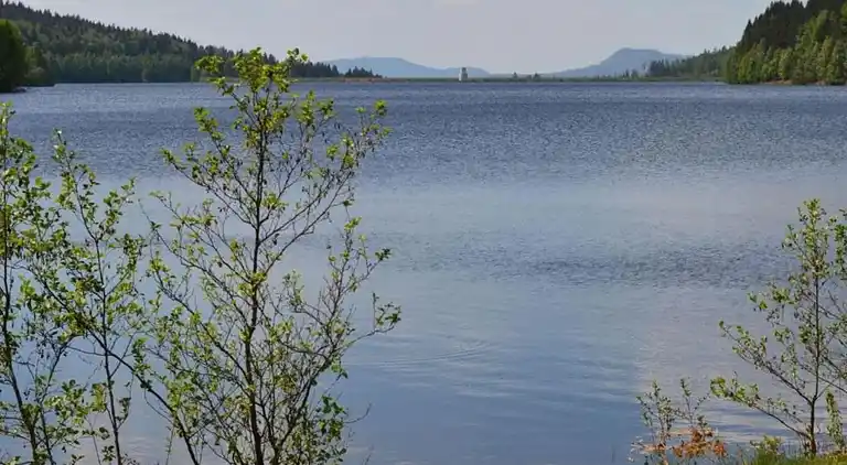 Apartment in Bavarian Forest