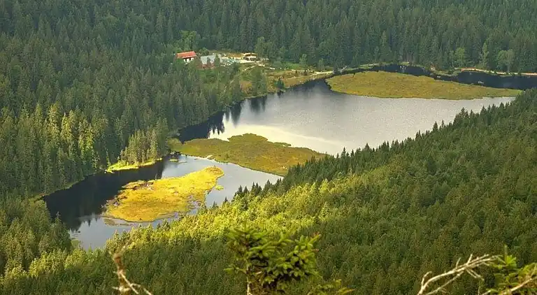 Apartment in Bavarian Forest