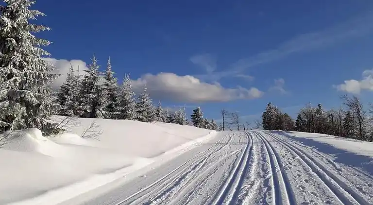 Apartment in Bavarian Forest
