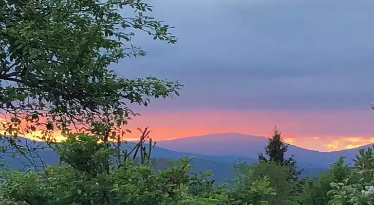 Apartment in Bavarian Forest