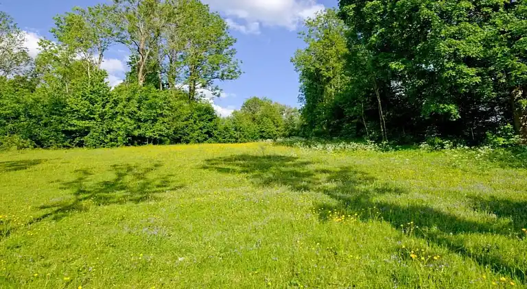 Apartment in Bavarian Forest