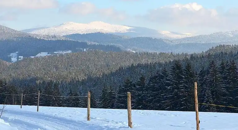 Apartment in Bavarian Forest