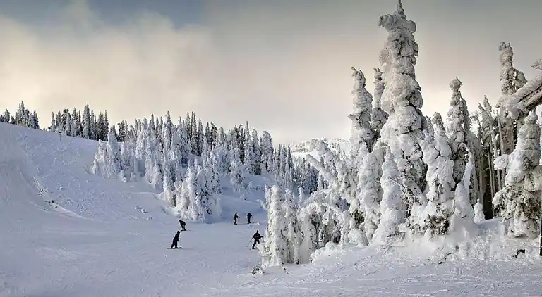 Apartment in Bavarian Forest
