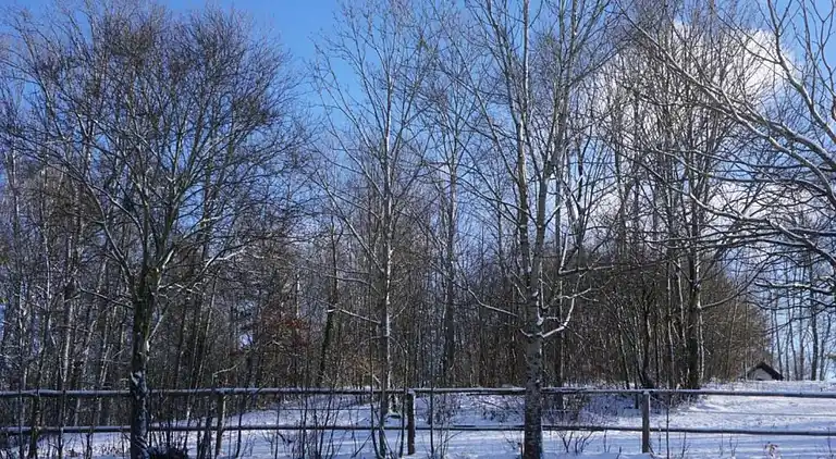 Apartment in Bavarian Forest