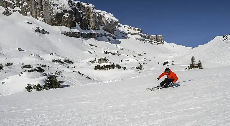 Ferienhaus in Riezlern