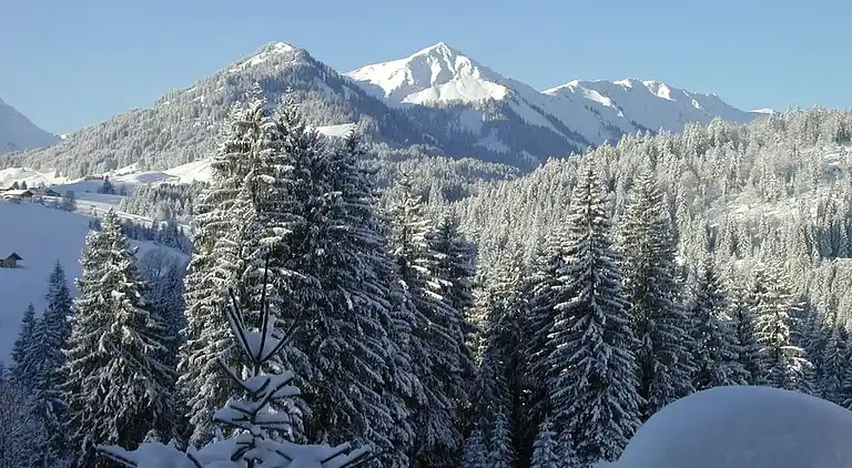 Ferienhaus in Riezlern