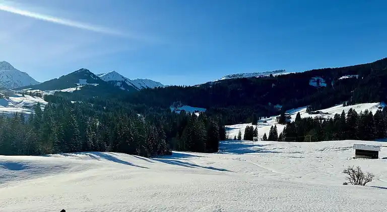 Ferienhaus in Riezlern