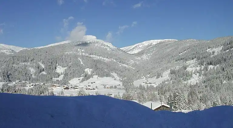 Ferienhaus in Riezlern