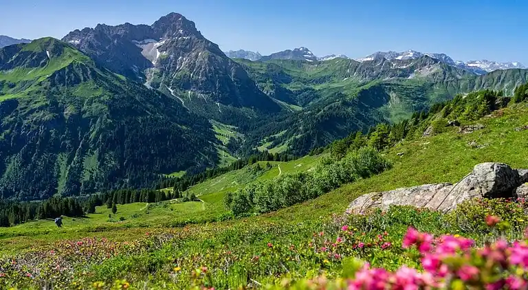 Ferienhaus in Riezlern