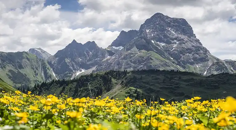 Ferienhaus in Riezlern