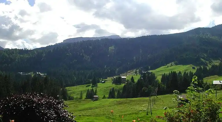 Ferienhaus in Riezlern