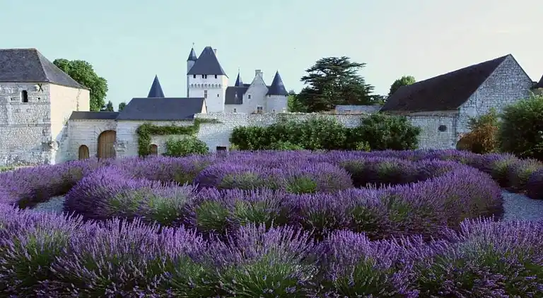 Ferielejlighed i Luzé