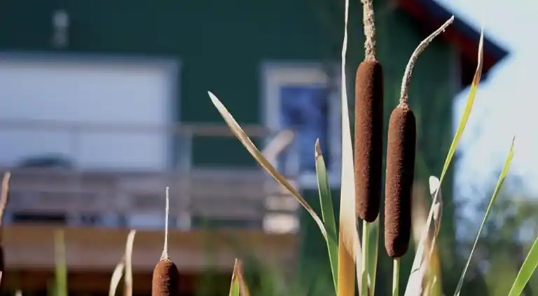 Ferielejlighed i Luzé