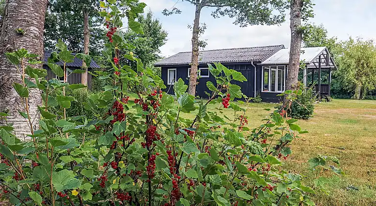 Semesterbostad i Thyholm